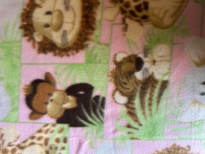 Safari Animals