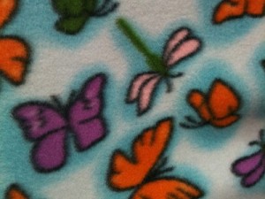 Butterfly & Dragonfly 