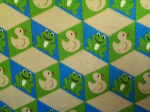 Frogs and Ducks 