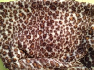 Small Leopard 