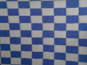 Blue and White Checks 